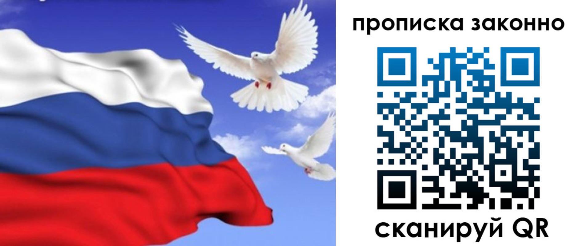 прописка в Оленегорске